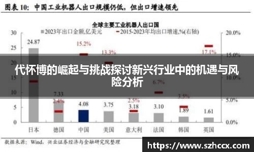 代怀博的崛起与挑战探讨新兴行业中的机遇与风险分析